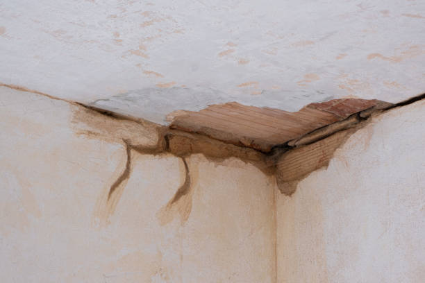 Best Flooded house restoration  in Asotin, WA