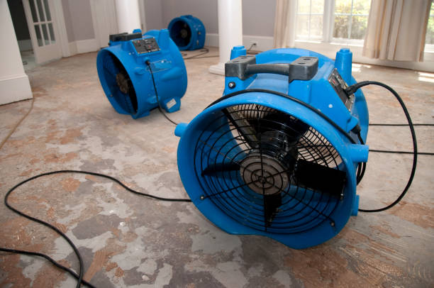 Best 24/7 water damage repair  in Asotin, WA