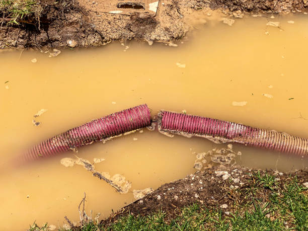 Best Residential water damage restoration  in Asotin, WA