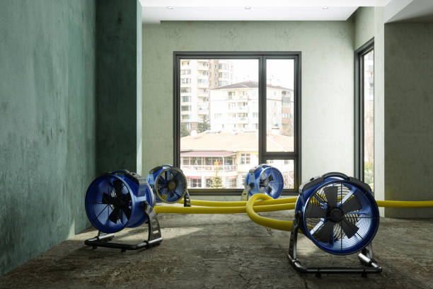 Best Fire Damage Restoration  in Asotin, WA