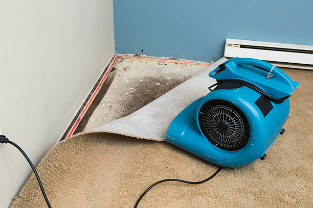 Best Water damage restoration insurance claims  in Asotin, WA